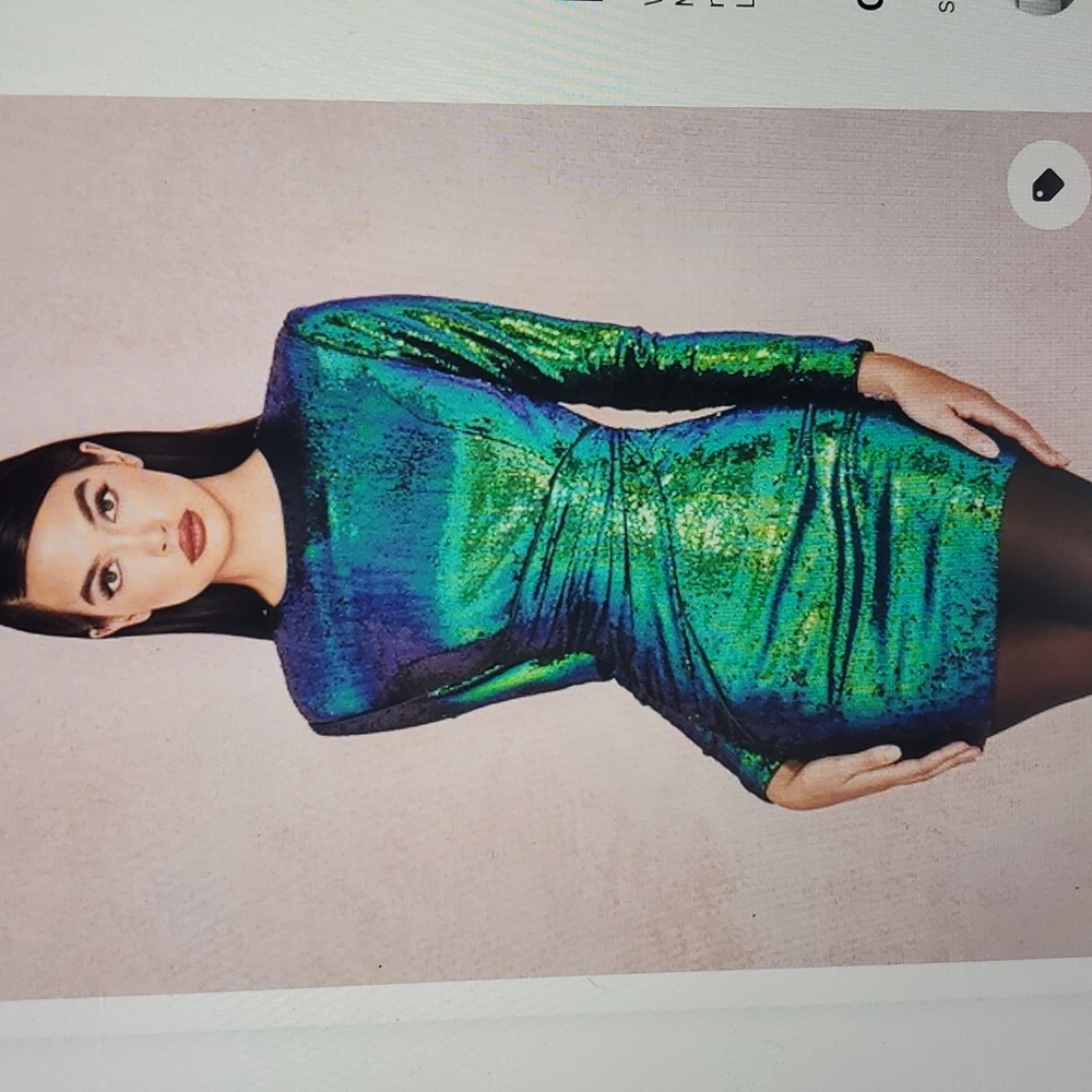 NWT Sequined Bodycon Dress